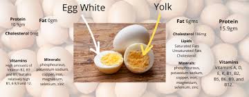 Eggs: Are they good or bad for my cholesterol?