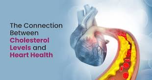 The role of cholesterol in heart health