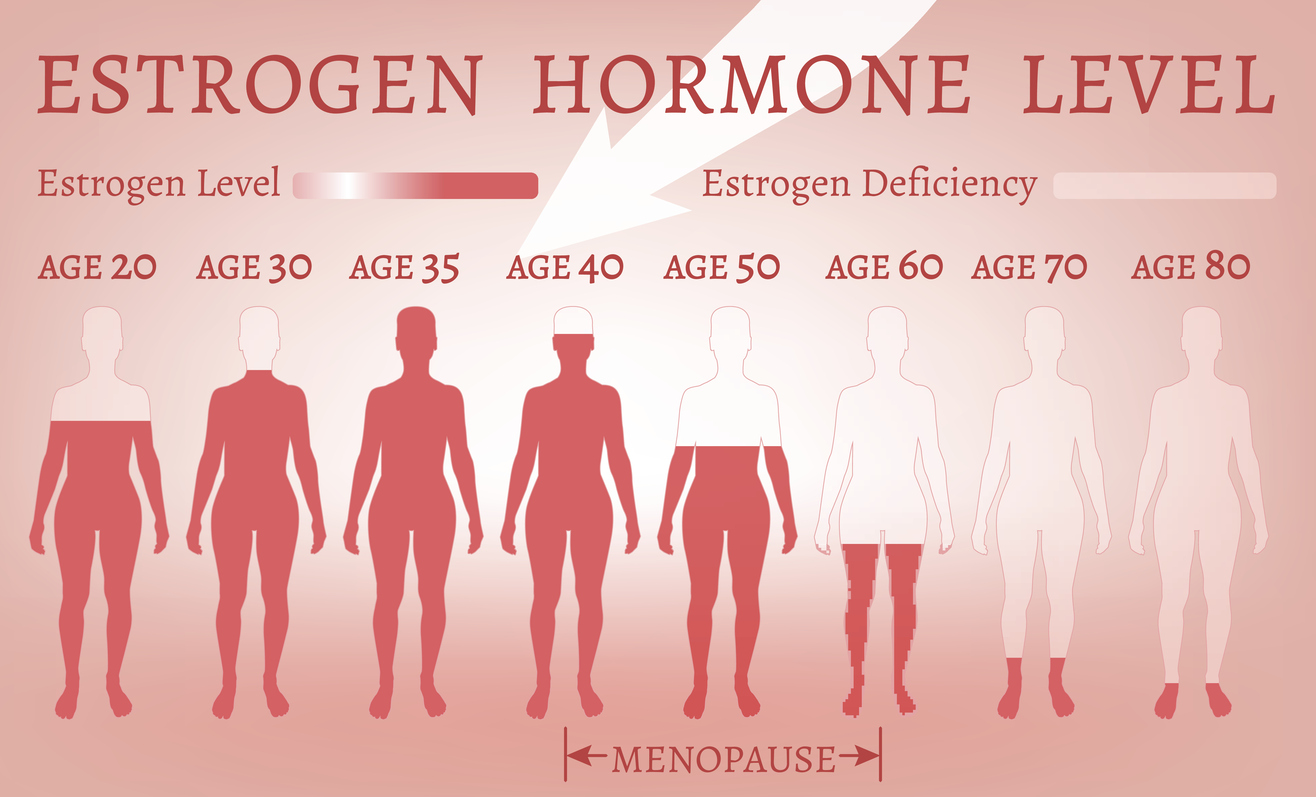 Women, estrogen and heart disease