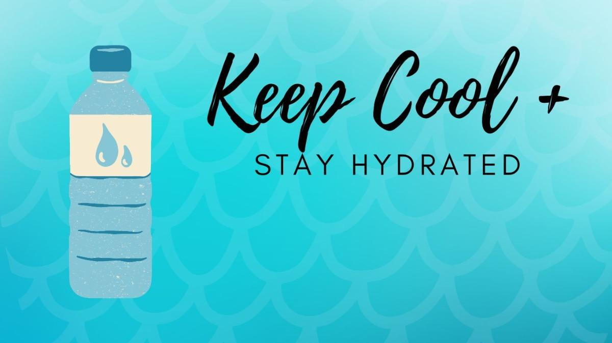 Stay Hydrated The Key to Optimal Health